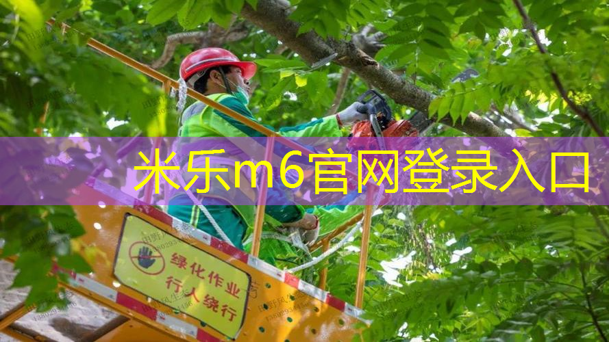 米乐m6官网登录入口：懒人网球拍怎么打的好