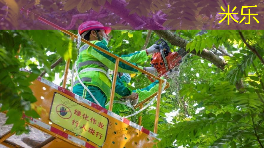 米乐m6官网：网球拍多少的挥重最好