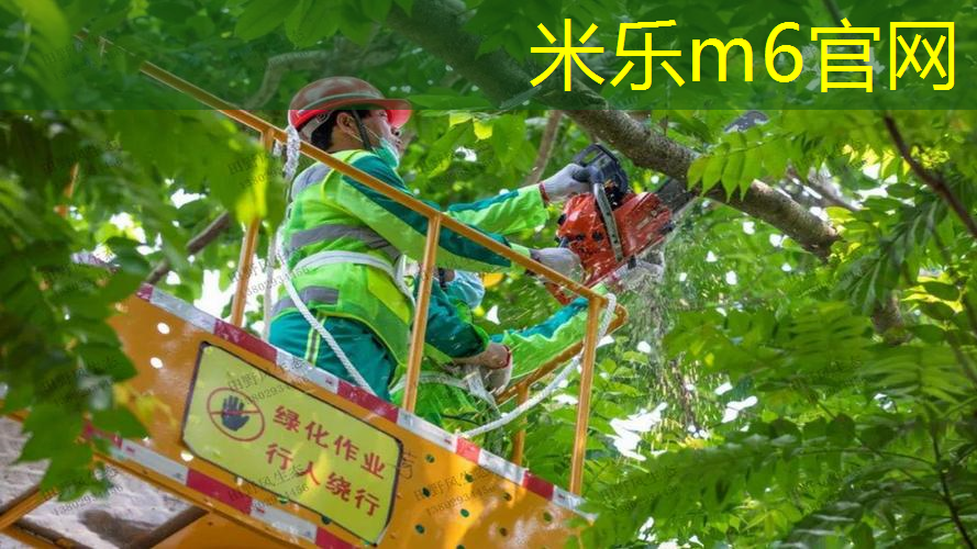 米乐m6官网：网球拍自己上色可以吗_