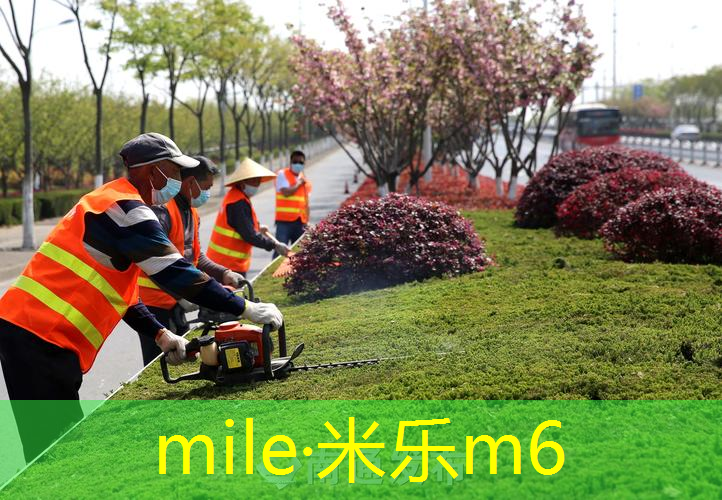 mile米乐m6官网：网球拍的减震器装哪