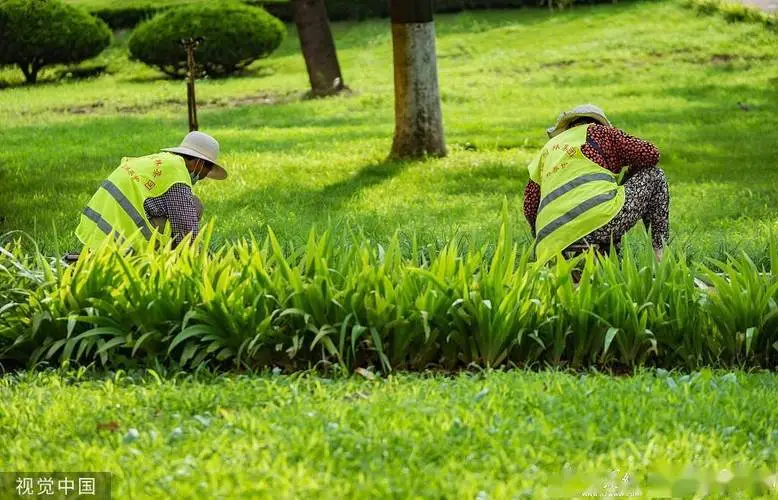 米乐m6官网登录入口：法网网球拍蓝色是什么