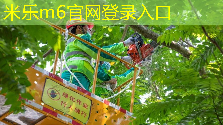 米乐m6官网：网球拍如何展示避震结