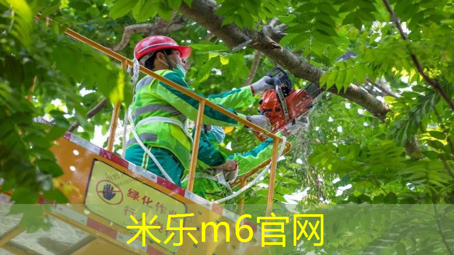 米乐m6官网登录入口：网球拍软拍和硬拍区分