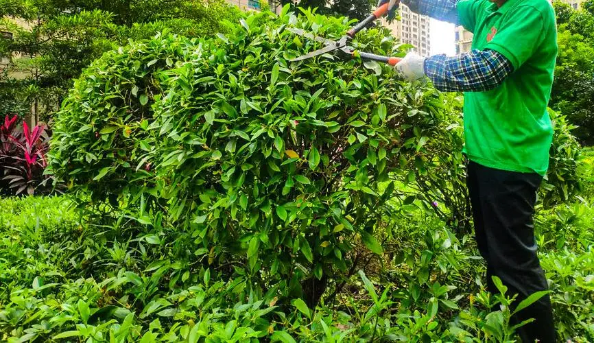 米乐m6官网：网球拍松紧度选择方法