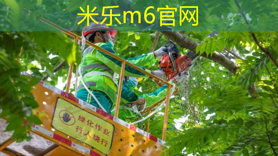 mile·米乐m6：装网球拍的袋子烂了怎么缝