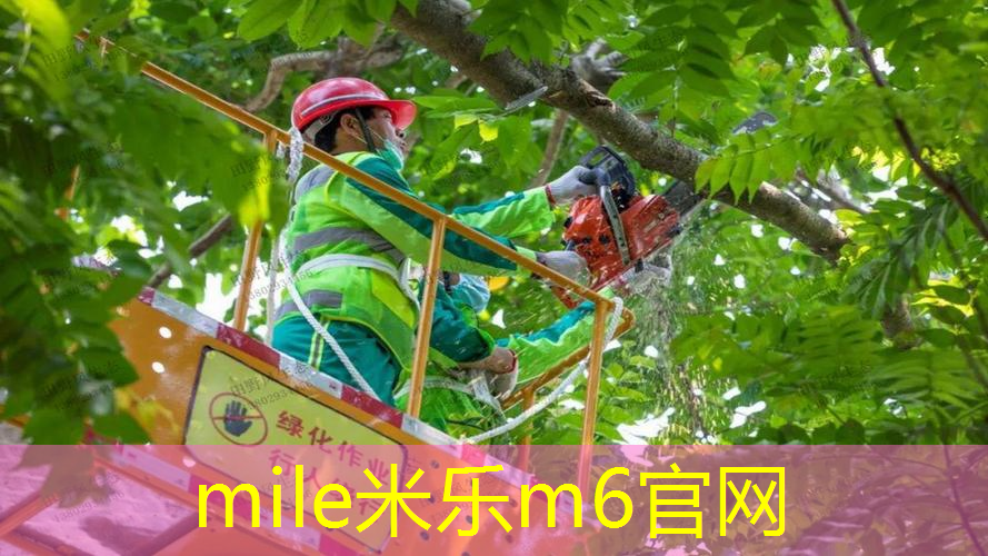 碳钢网球拍的寿命是多久