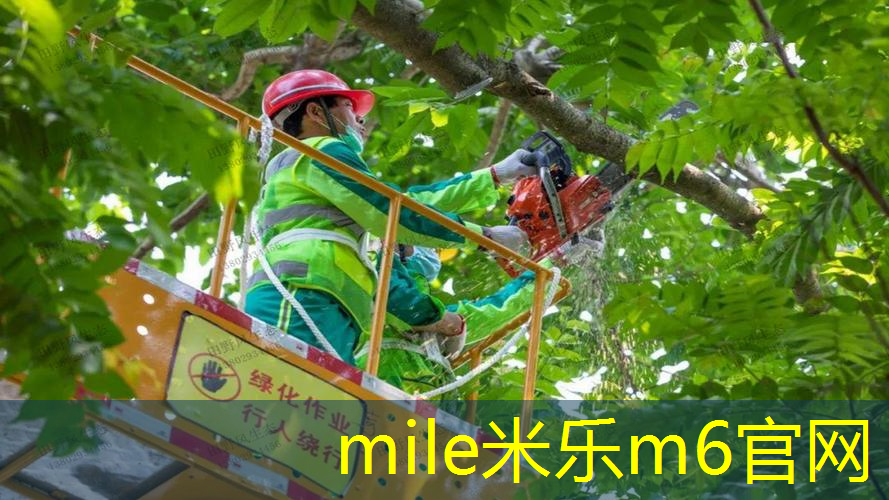 米乐m6官网：回弹网球拍子怎么用的快