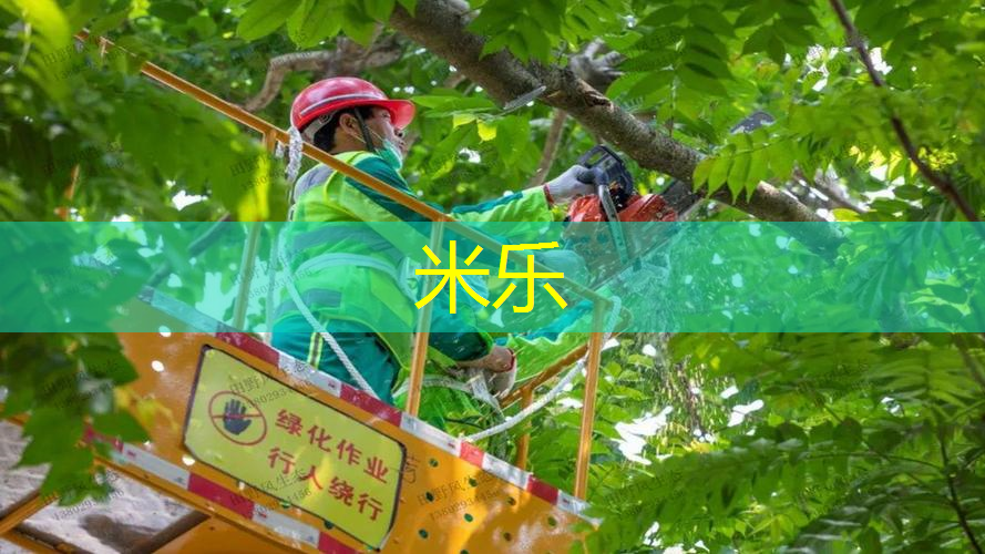 mile·米乐m6：网球拍脱线修补方法图解