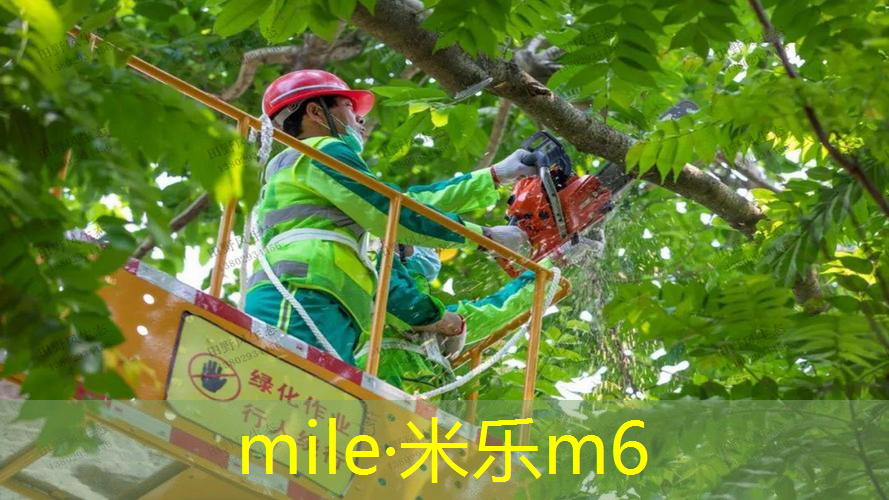 米乐m6官网登录入口：网球拍90和95的区别
