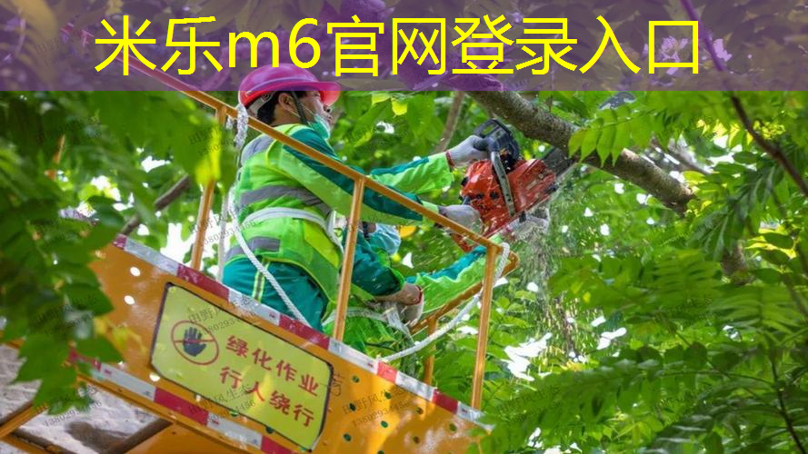米乐m6官网：儿童玩的网球拍有哪些材质