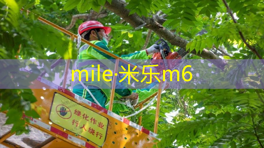 出汗多网球拍吸汗带