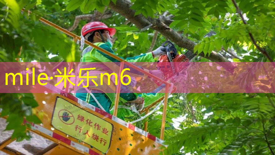 mile米乐m6官网：网球拍包内隔层多厚