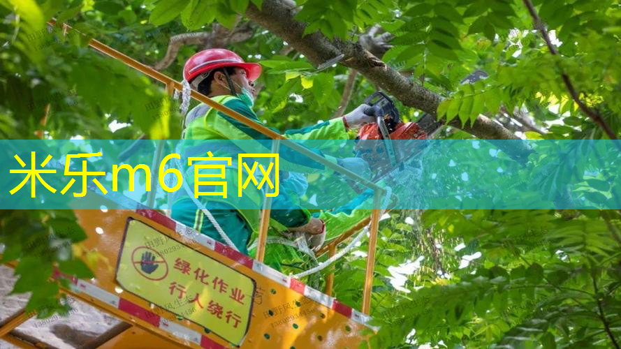 网球拍我拍在哪个位置