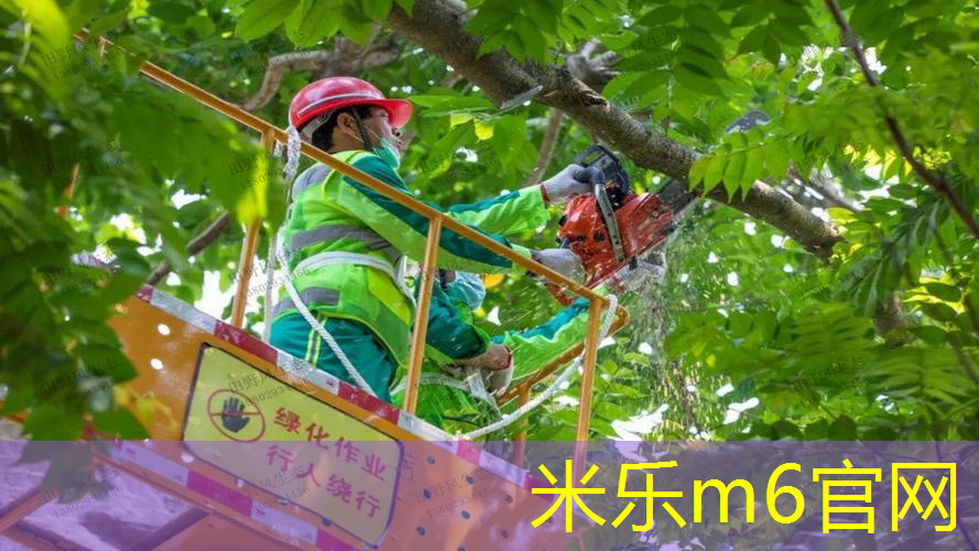 米乐：乒乓球台内提拉技巧