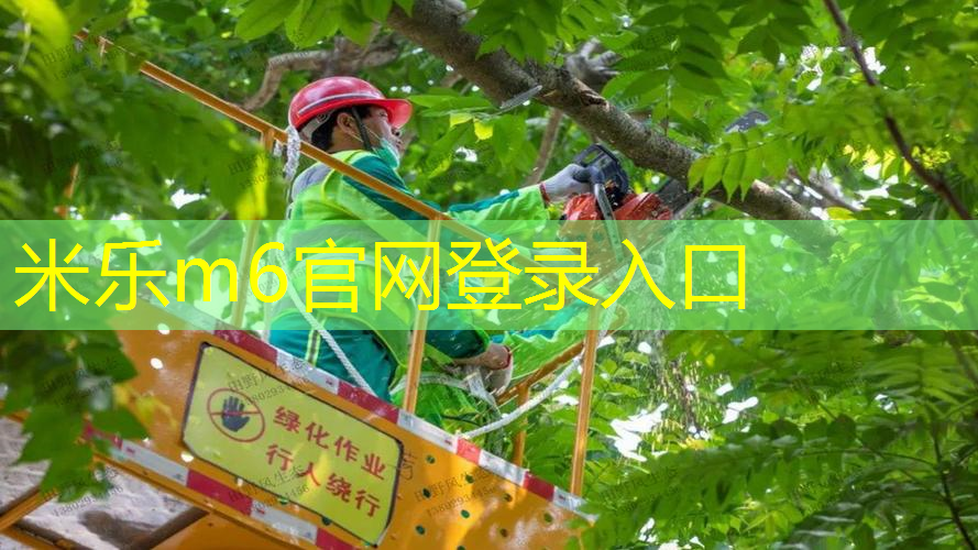 网球拍多少的挥重最好