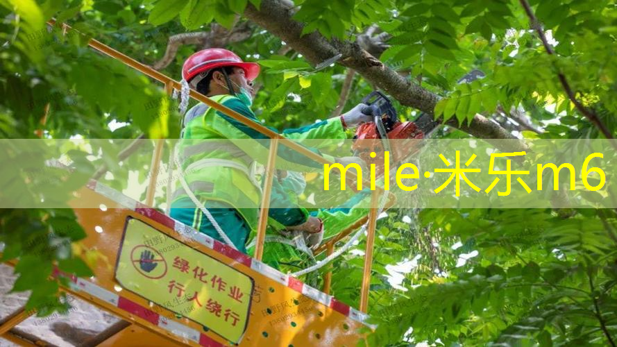 网球拍自己上色可以吗_