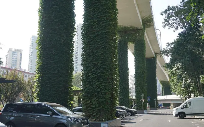 网球拍怎样看拍号大小图解