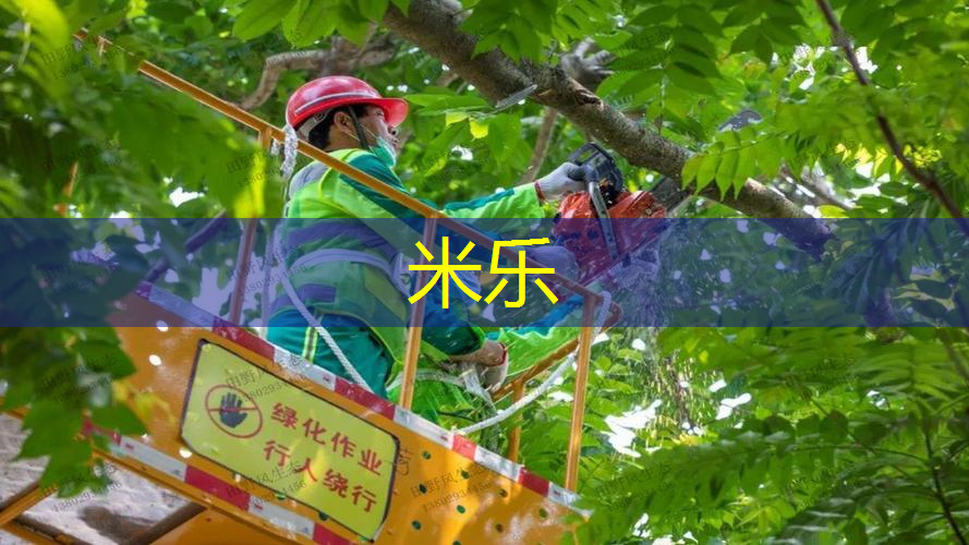 装网球拍的袋子烂了怎么缝