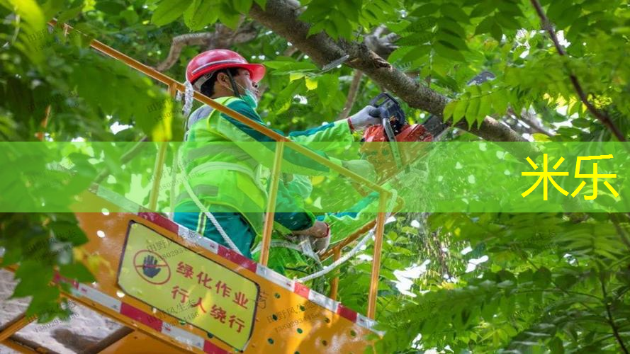 鹿泉有没有穿网球拍的地方