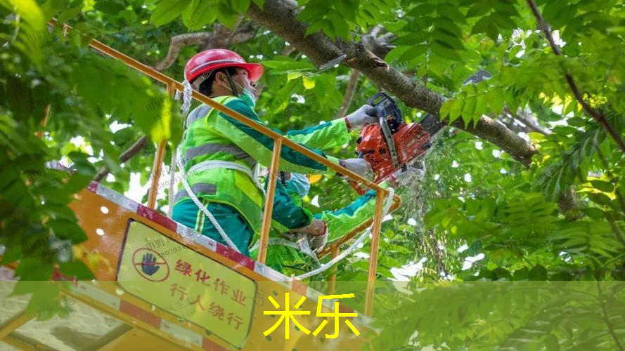 回弹网球拍子怎么用的快