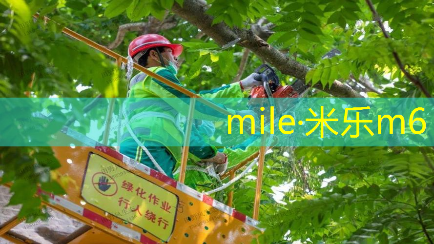 网球拍脱线修补方法图解