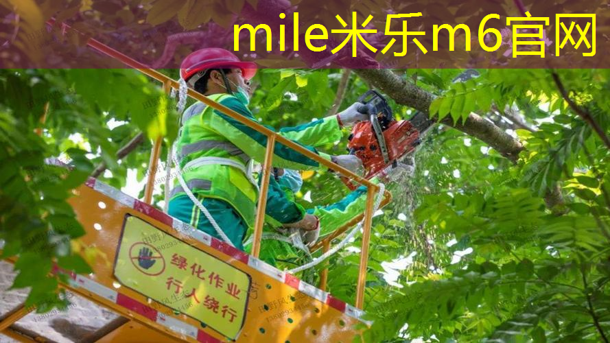 儿童玩的网球拍有哪些材质
