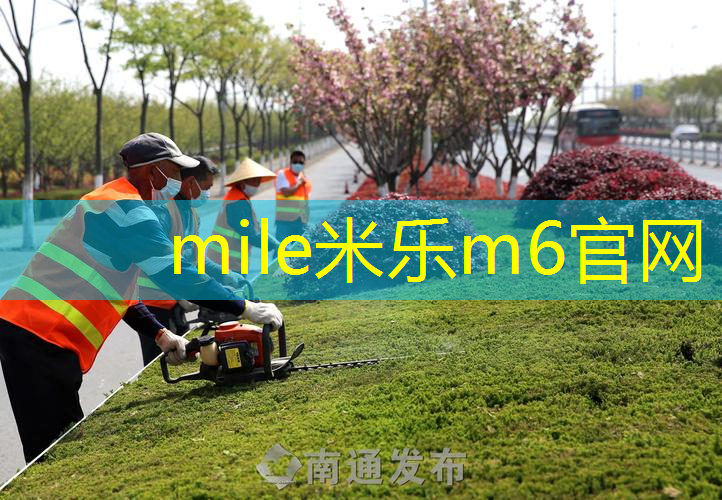 网球拍数据在哪儿看