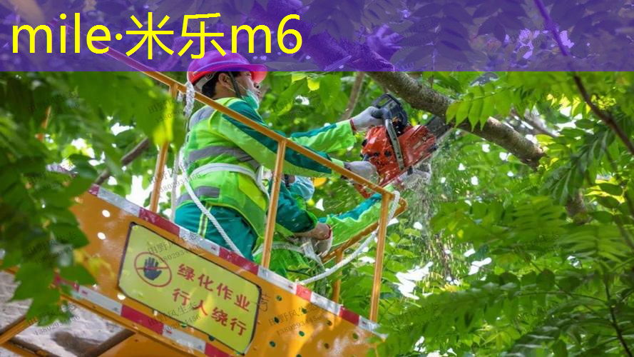 乒乓球台内提拉技巧